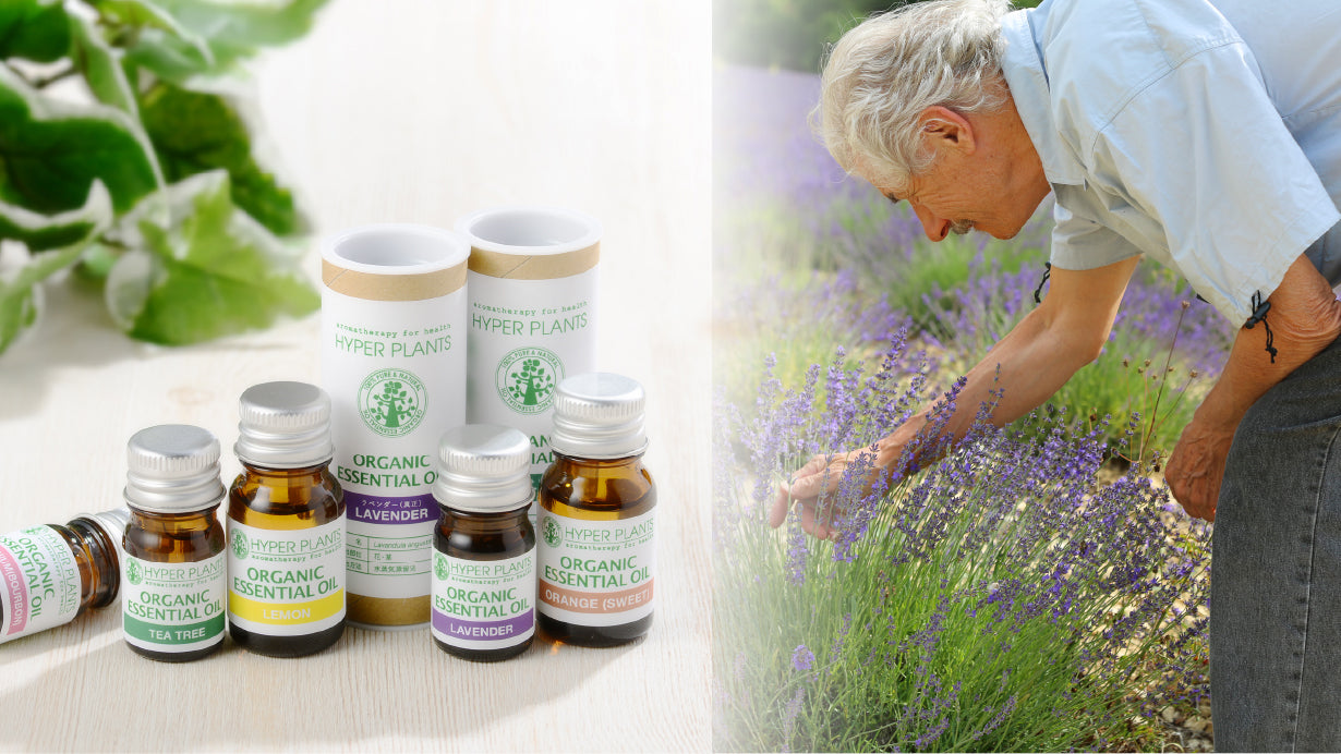 Blend essential oil for good sleep KIDS