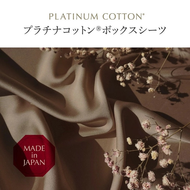 シーツシャンパンゴールド