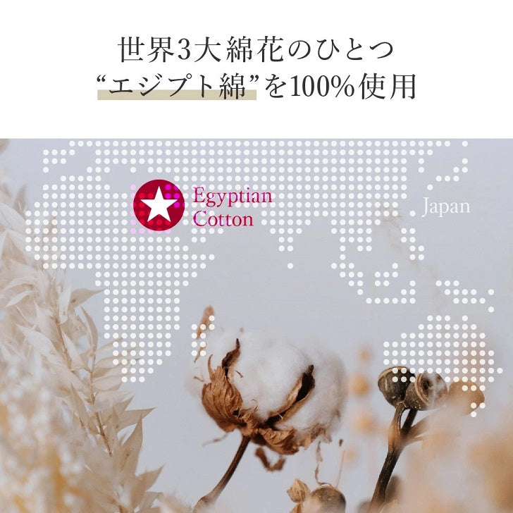 シーツシャンパンゴールド