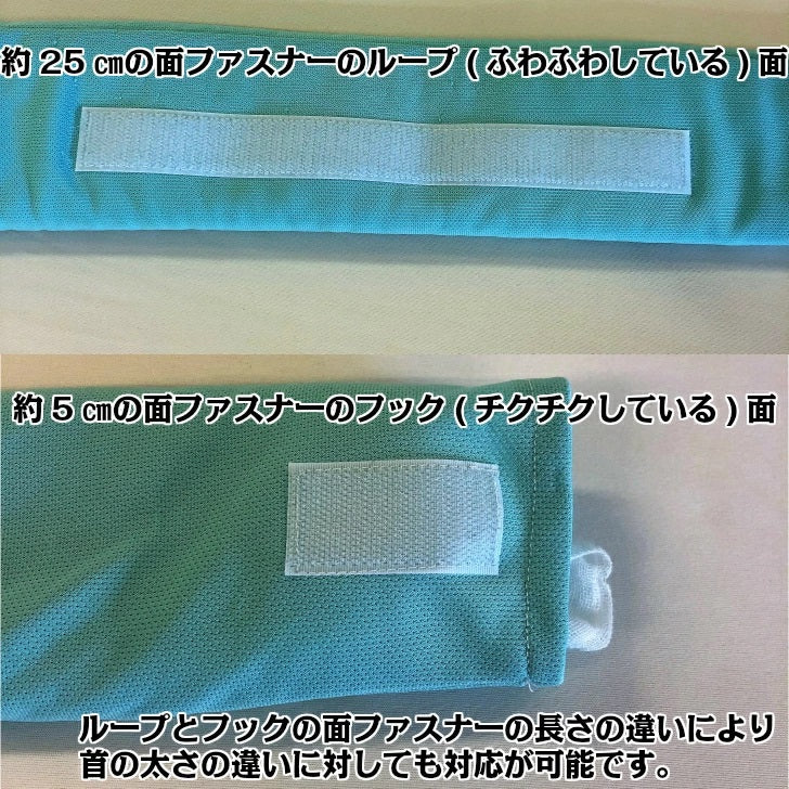 首枕