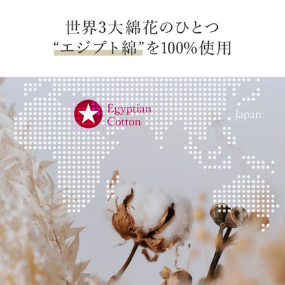 シーツシャンパンゴールド